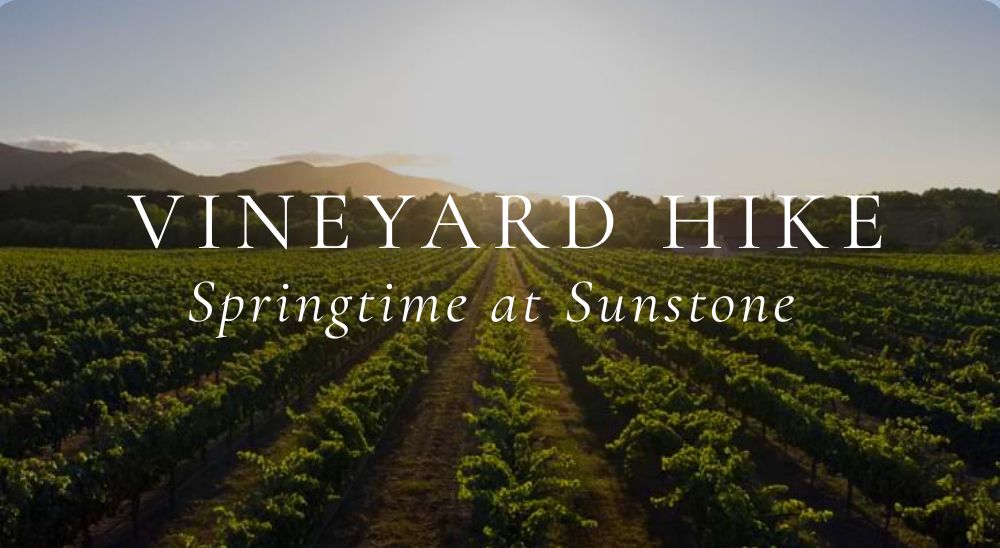 Estate Vineyard Hike