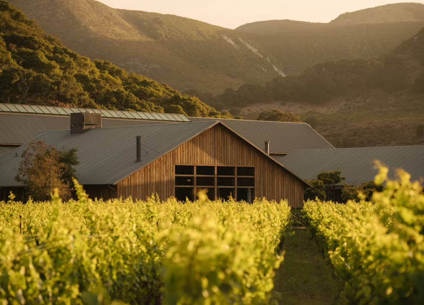 Golden Hour at The Barn at The Hilt Estate
