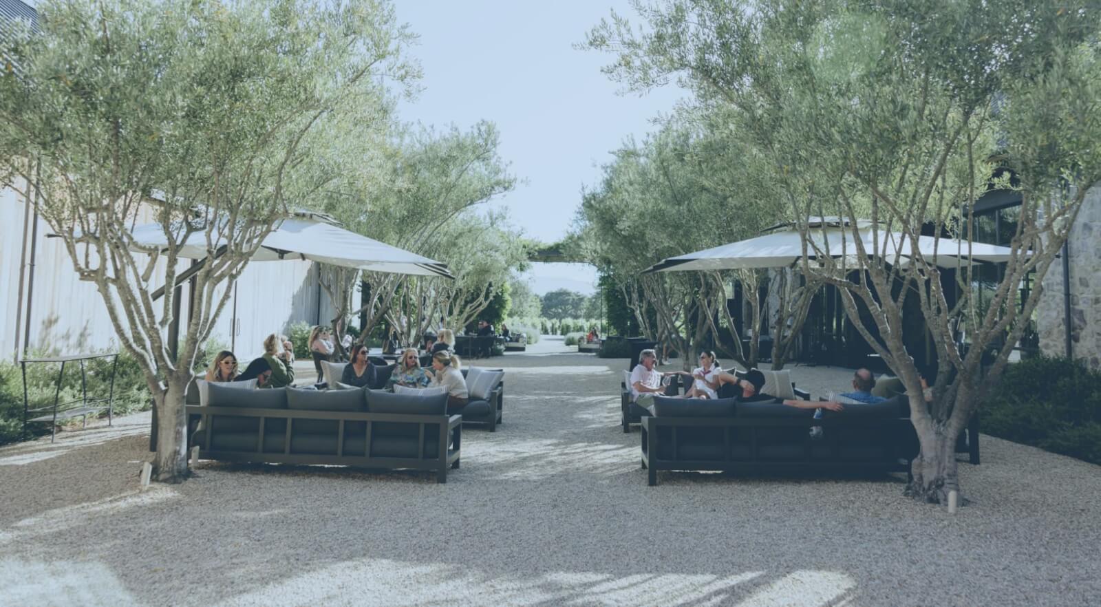 After Hours at the Estate - Brave & Maiden Winery