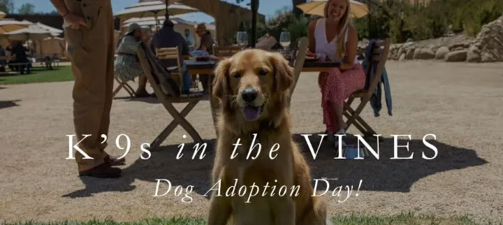 K-9s in the Vines: Dog Adoption Day Sunstone Winery
