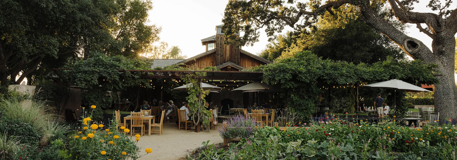 4th of July BBQ at Roblar Winery
