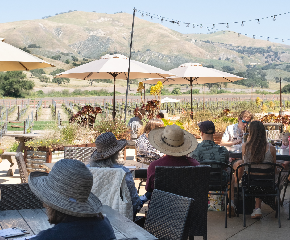 Summer After Hours at Zaca Mesa Winery