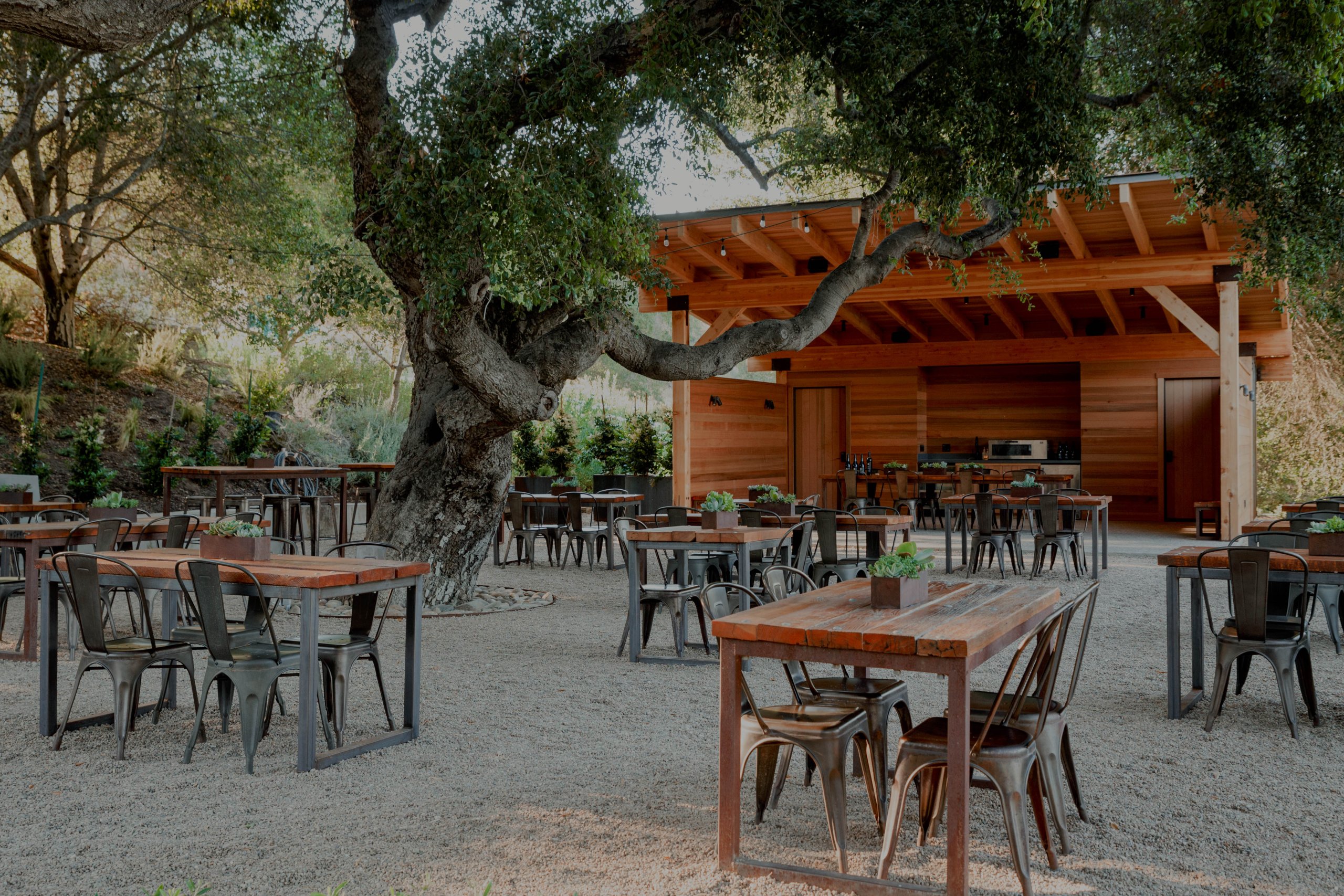 Andrew Murray Vineyards Summer Fridays