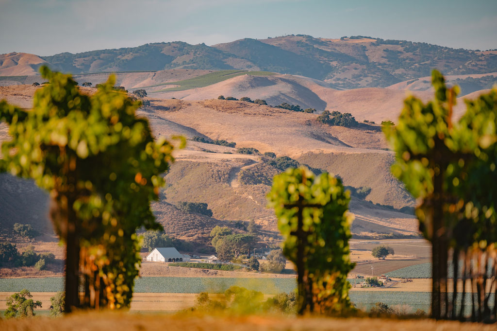 Sta. Rita Hills Wine & Fire Festival 2026