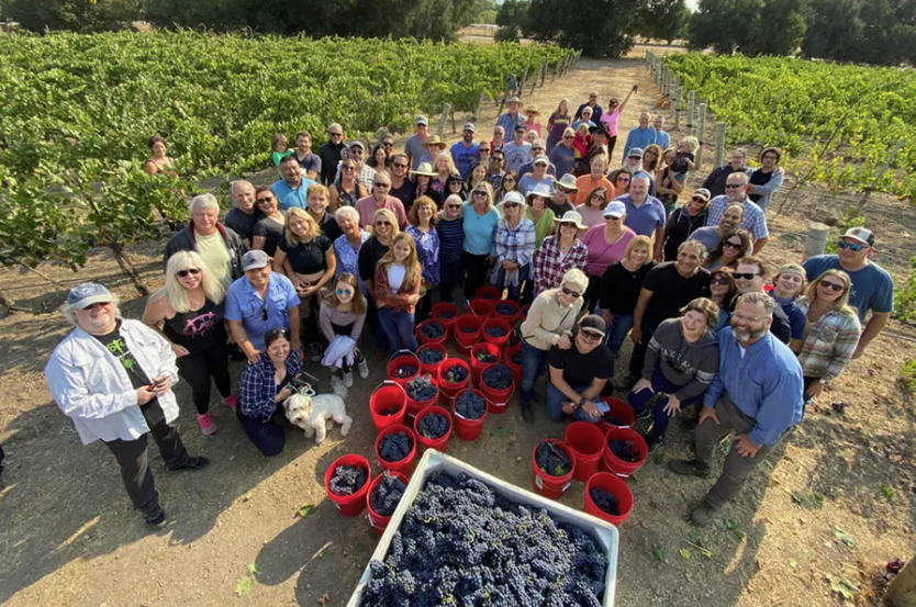 Annual Vineyard U-Pick at Roblar Winery