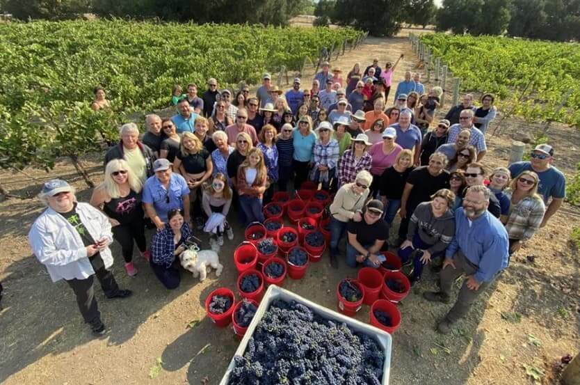 Annual Vineyard U-Pick at Roblar Winery