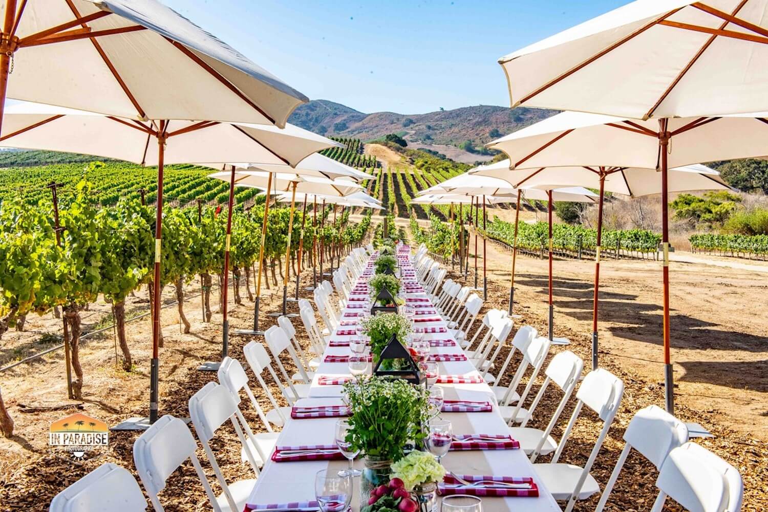 Evan's Ranch Foot Stomp & Harvest Brunch